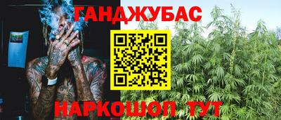 Альфа ПВП Ачхой-Мартан