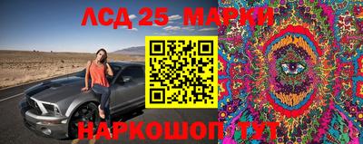 стаф Аша