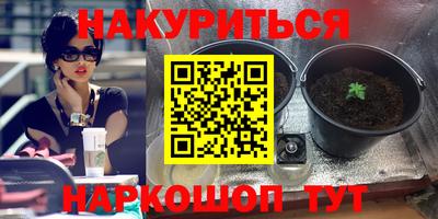 стаф Аша