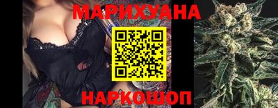 Альфа ПВП Ачхой-Мартан