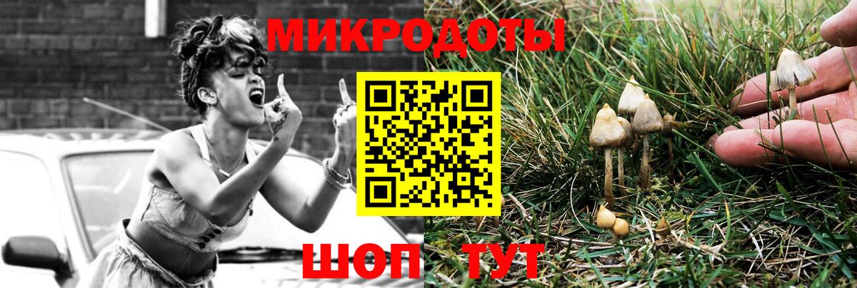 Галлюциногенные грибы GOLDEN TEACHER Киселёвск
