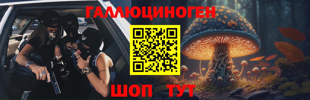 Киселёвск  Галлюциногенные грибы мицелий  Вход с VPN 